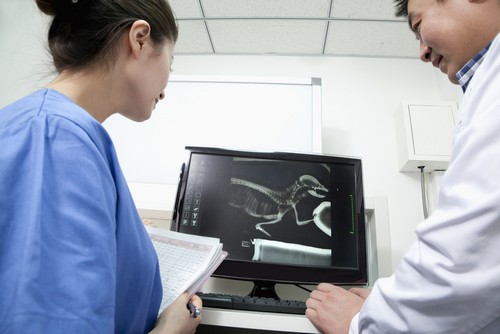 Advanced Digital X-rays  Trenton, MO