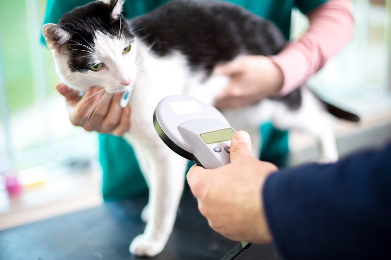 Microchipping  Trenton, MO